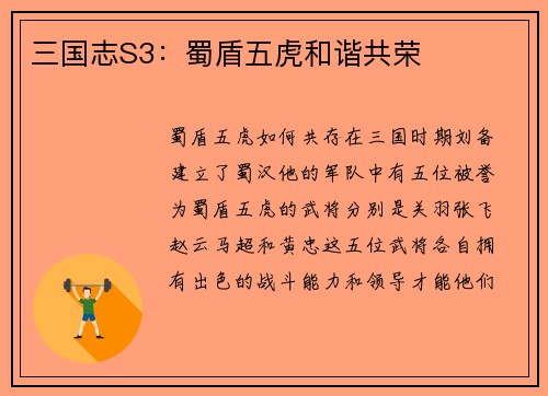 三国志S3：蜀盾五虎和谐共荣
